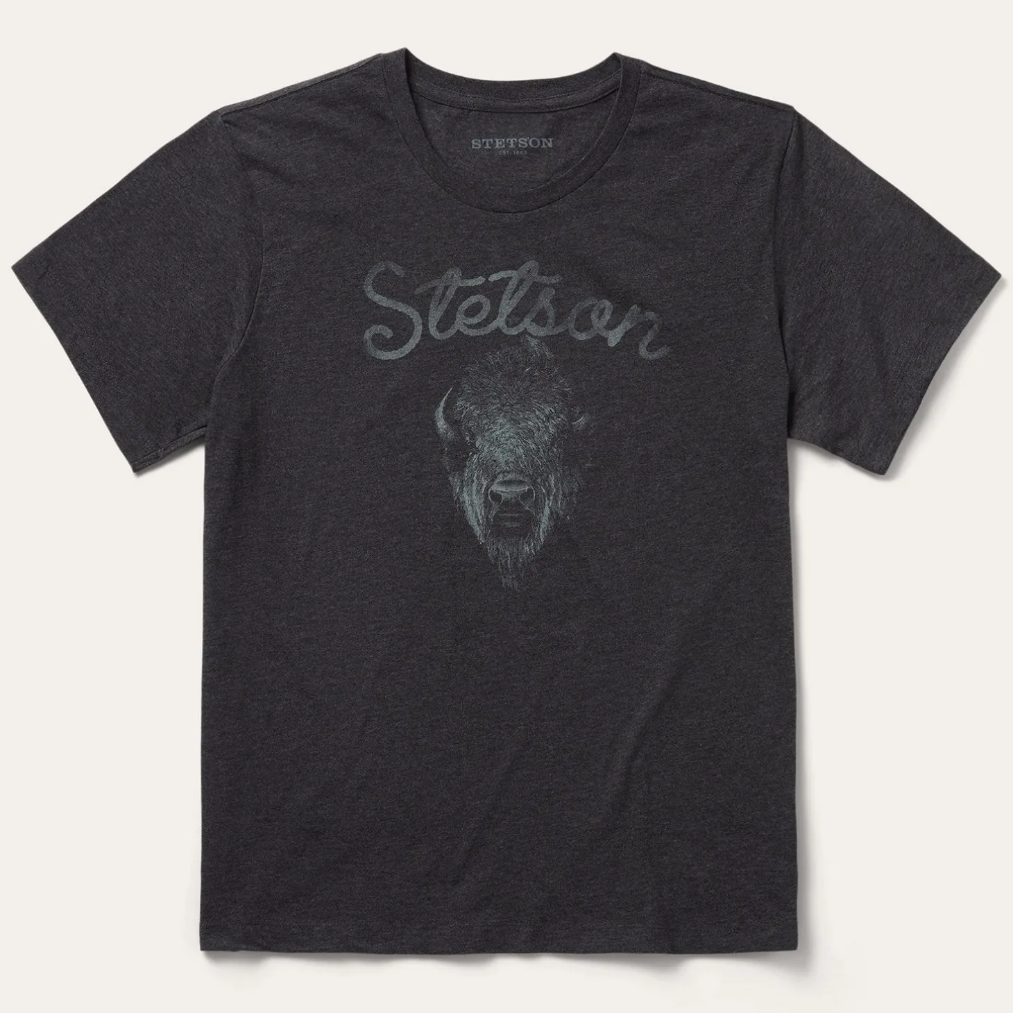 Bison Spirit Graphic Tee