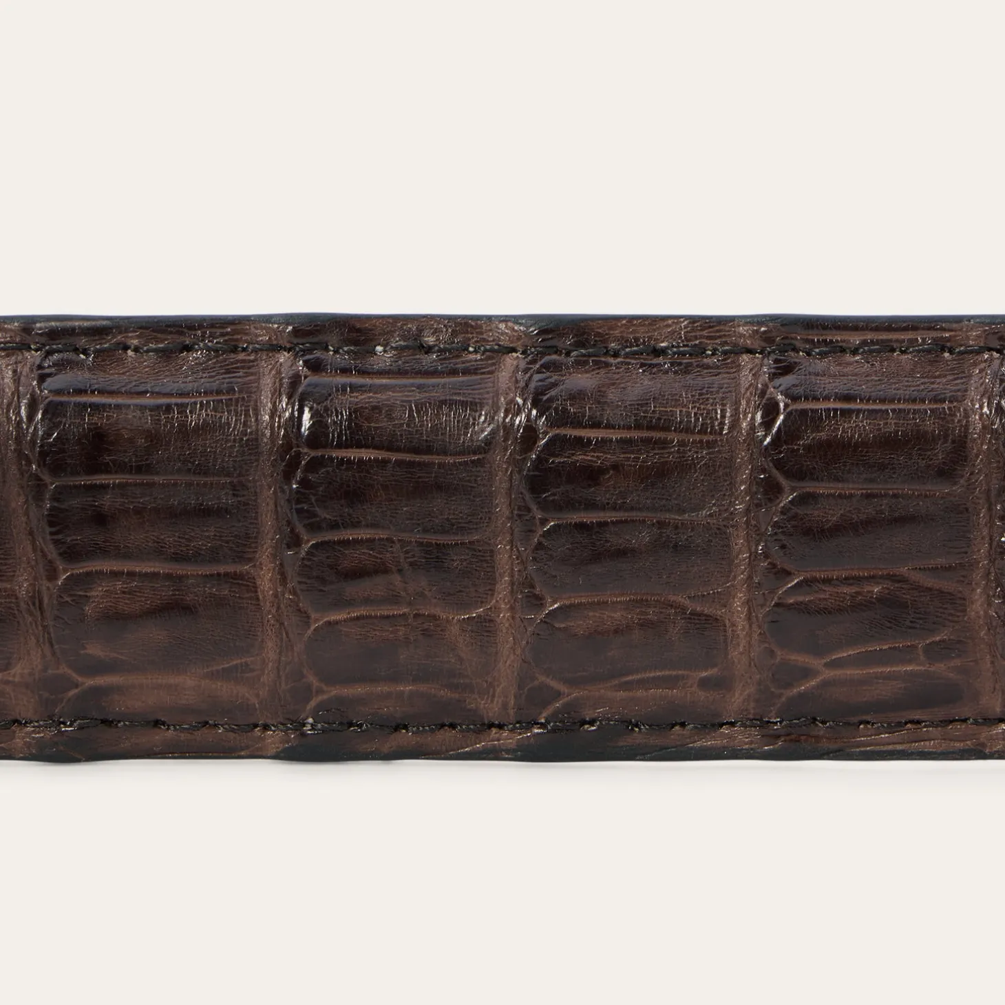 Caiman Western Tab Belt - 1 1/4" Width