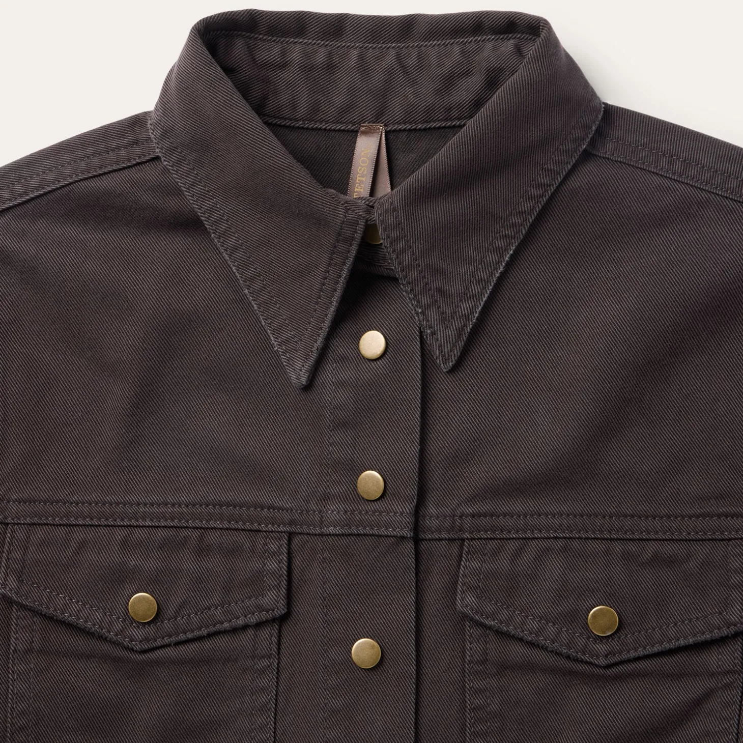 Desert Scene Embroidered Western Shirt