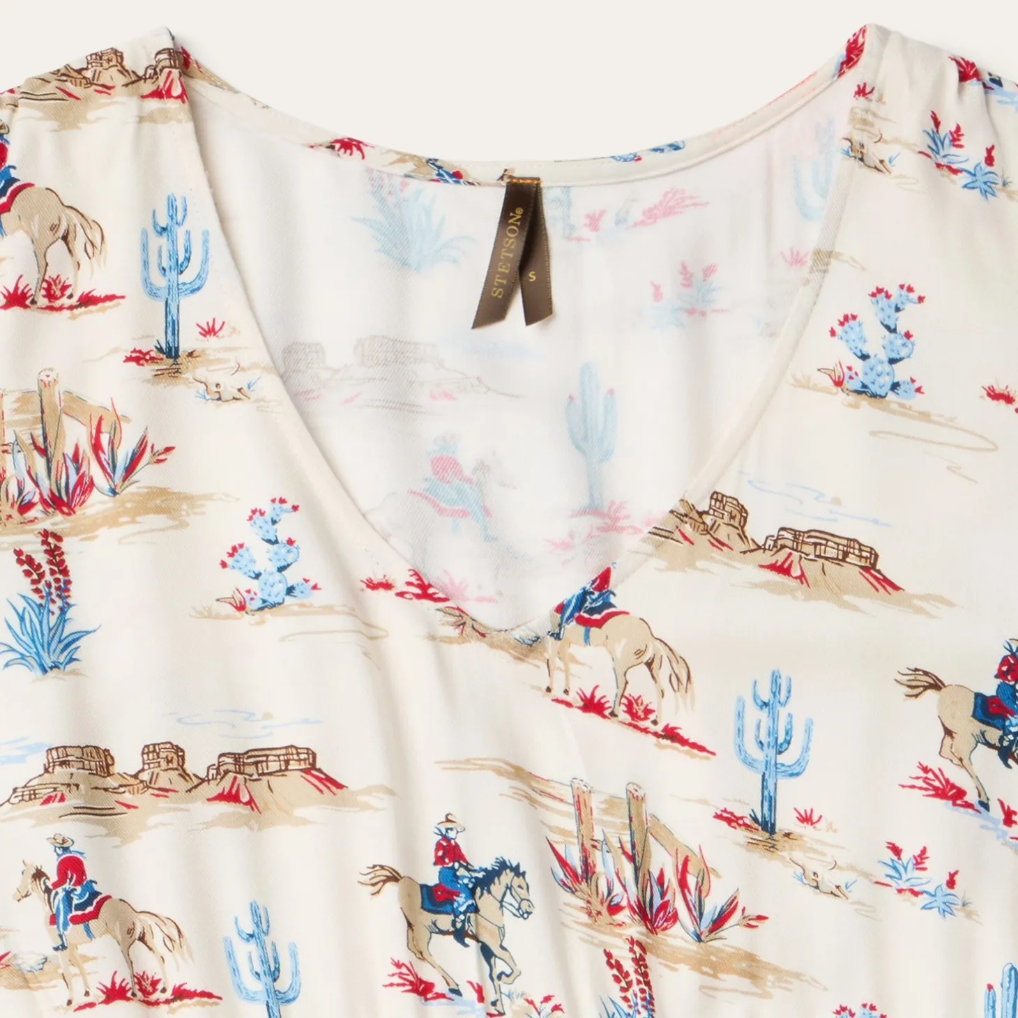 Desert Trails Print Prairie Dress