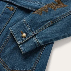 Embroidered Stretch Denim Shirt Dress