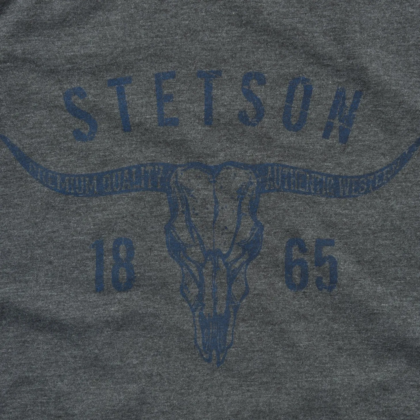 Longhorn Graphic Tee