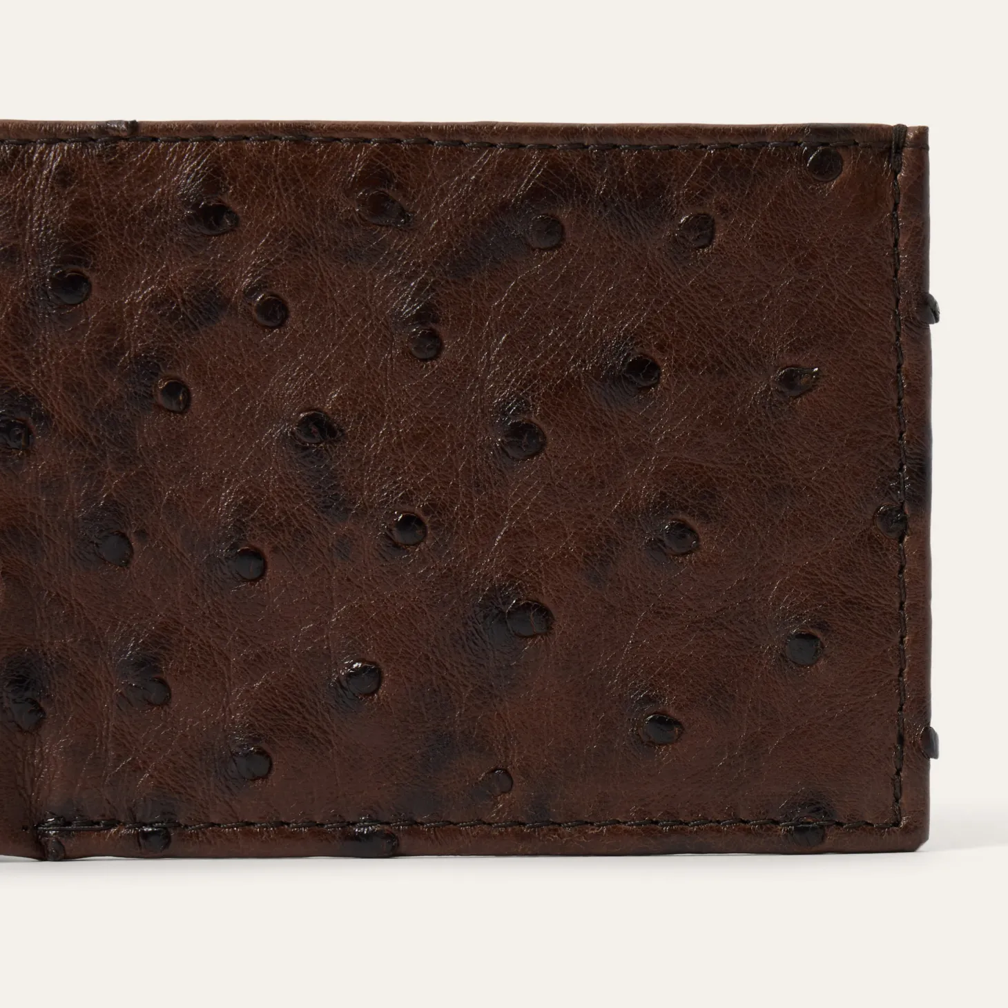 Ostrich Bi-Fold Wallet
