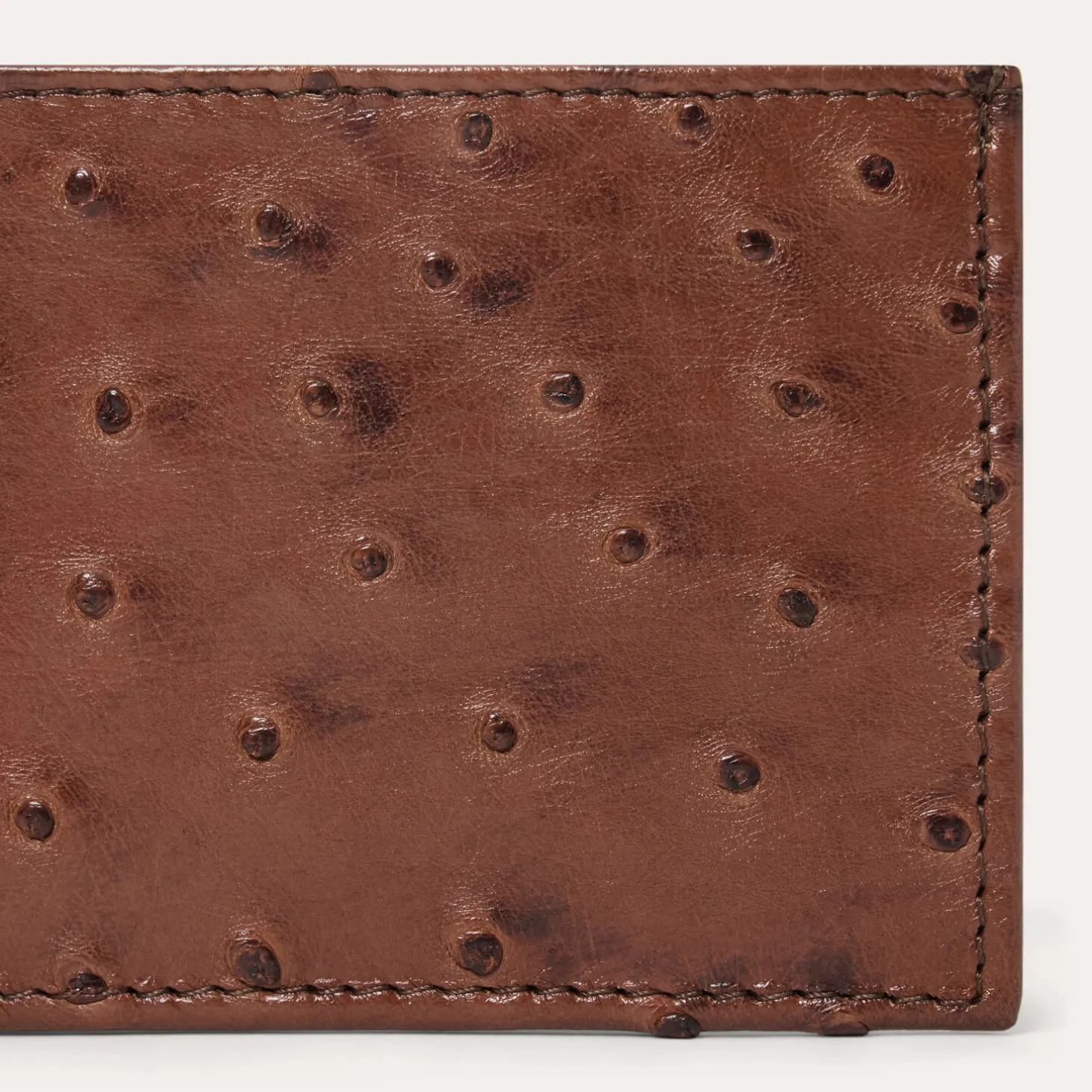 Ostrich Bi-Fold Wallet