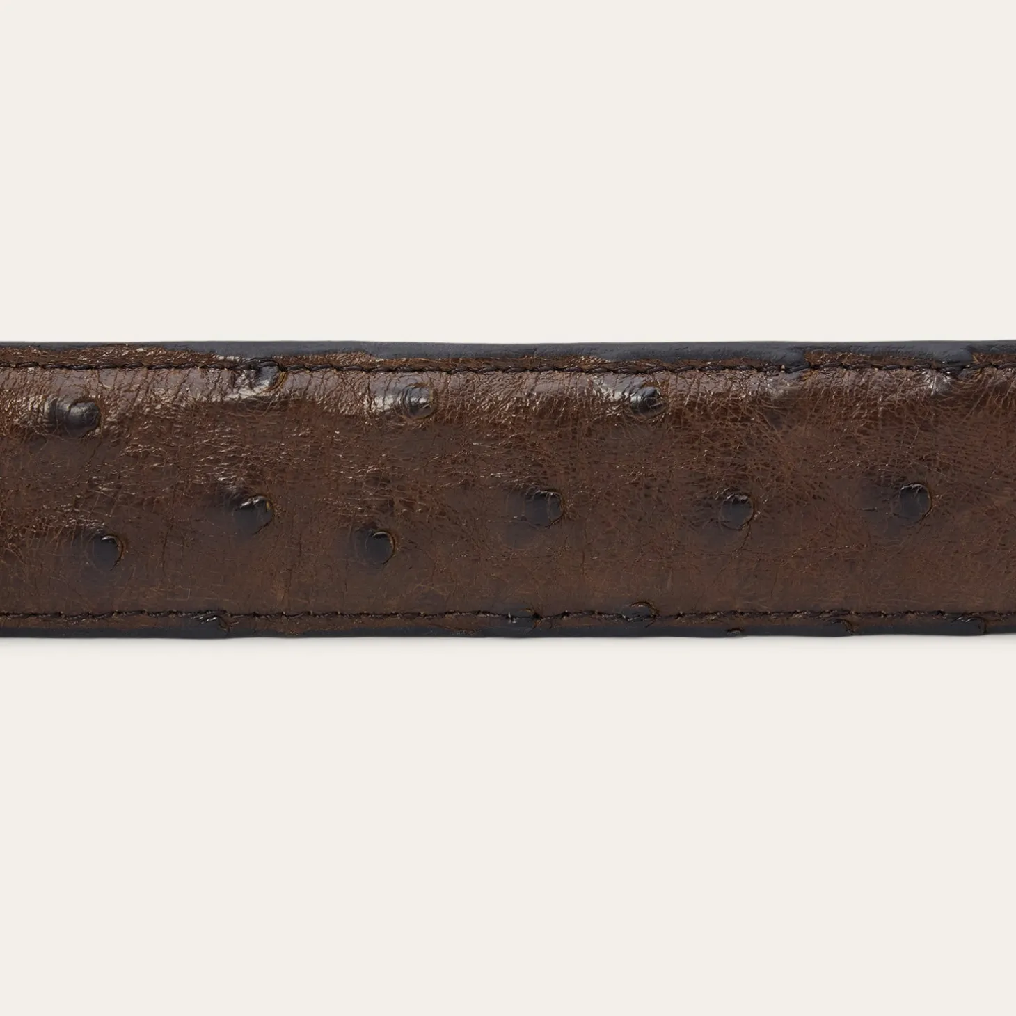 Ostrich Tapered Belt