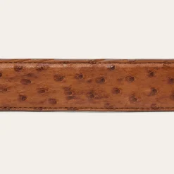 Ostrich Tapered Tab Belt