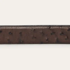 Ostrich Western Tab Belt