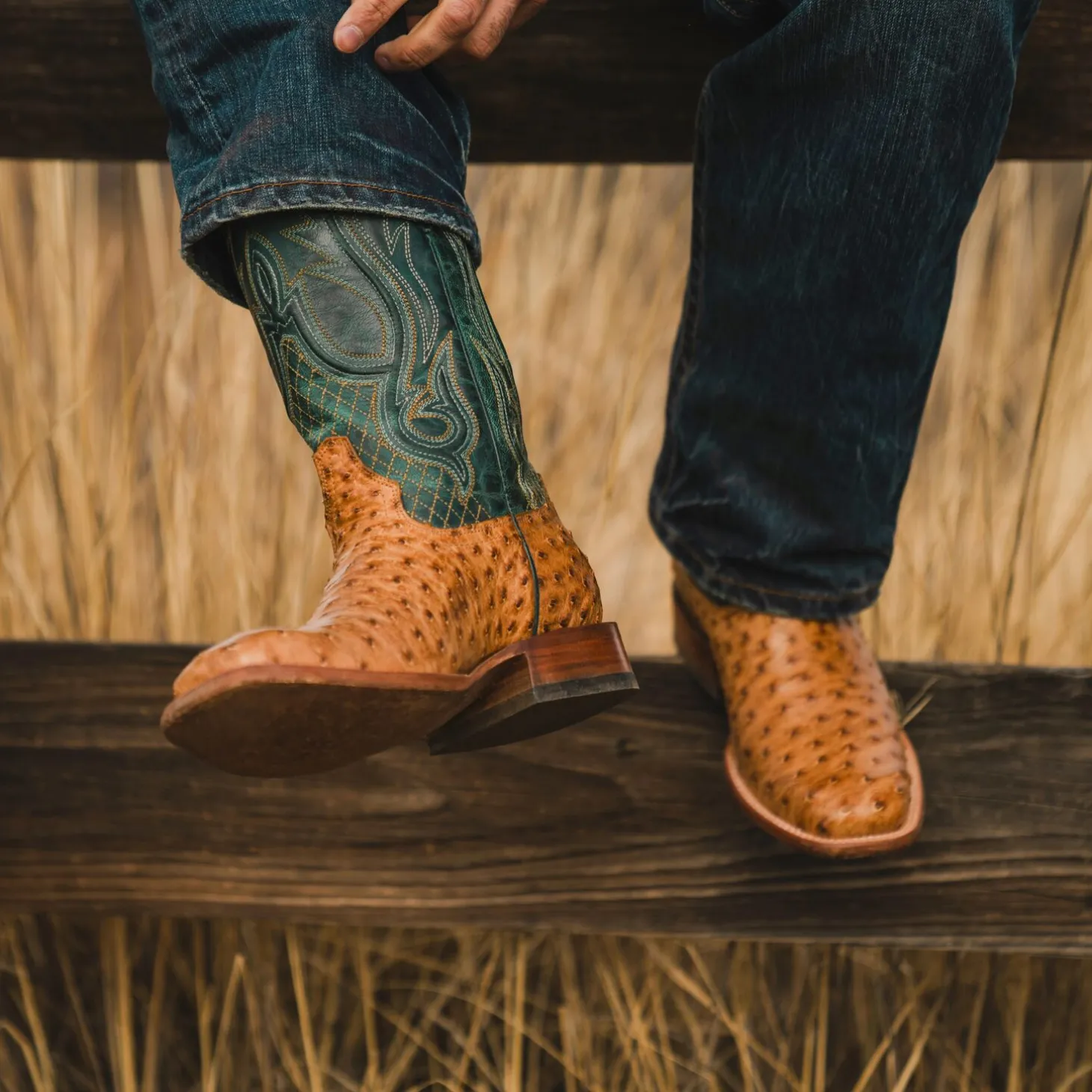 Ozzy Ostrich Boot