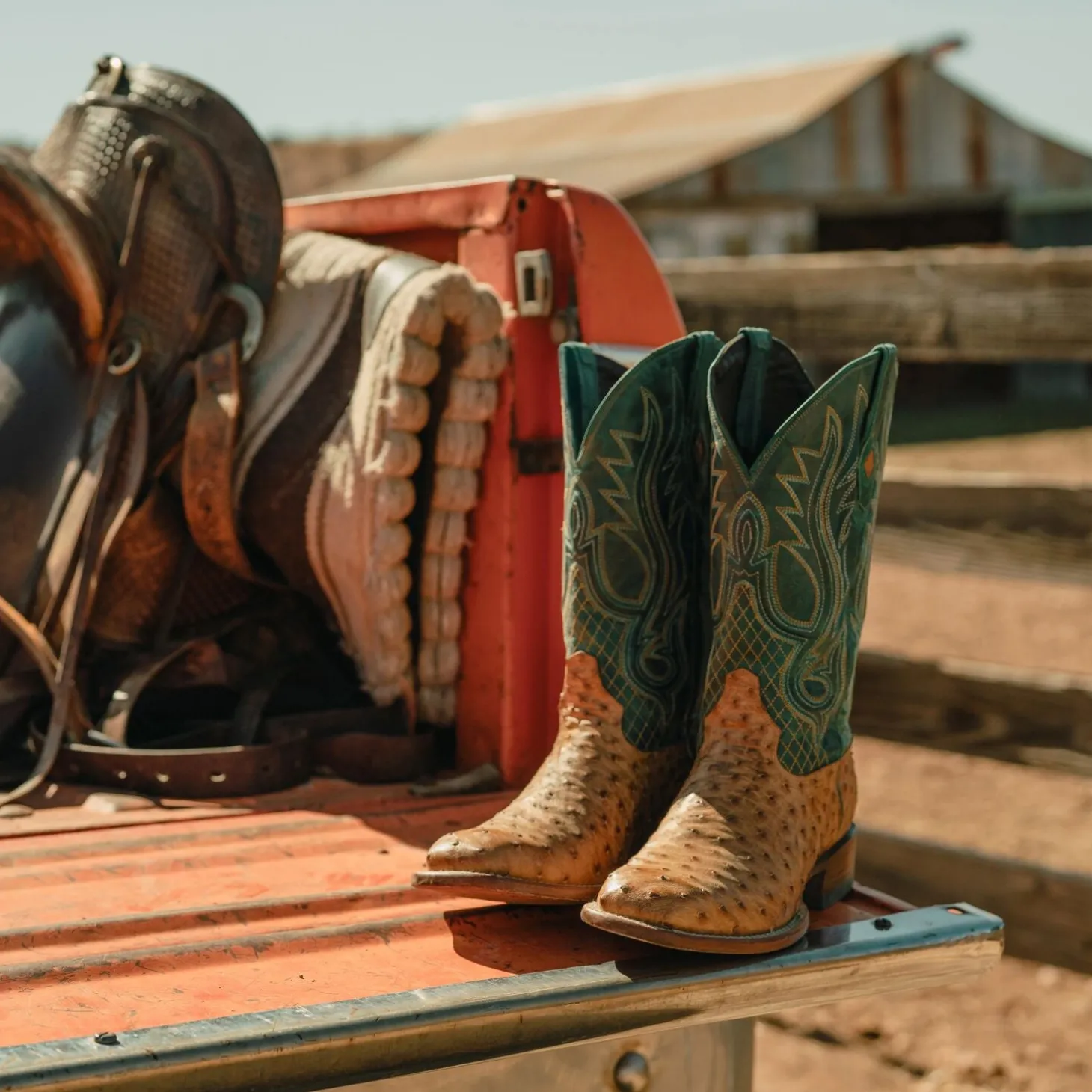 Ozzy Ostrich Boot