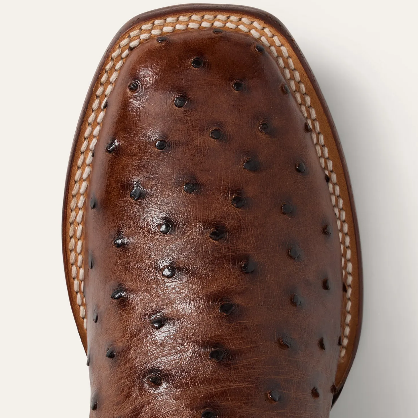 Ozzy Ostrich Boot