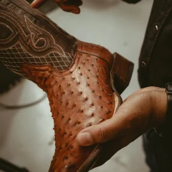 Ozzy Ostrich Boot