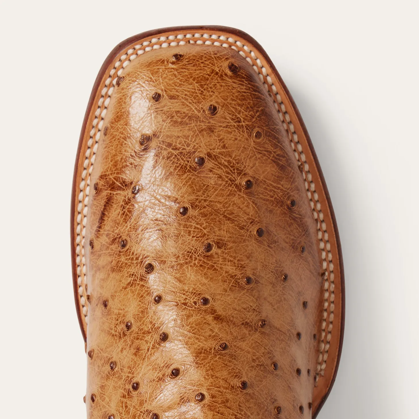 Ozzy Ostrich Boot