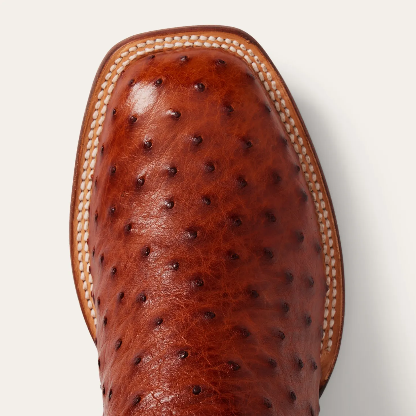 Ozzy Ostrich Boot