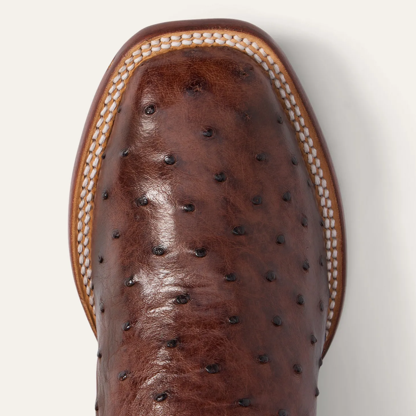 Ozzy Ostrich Boot