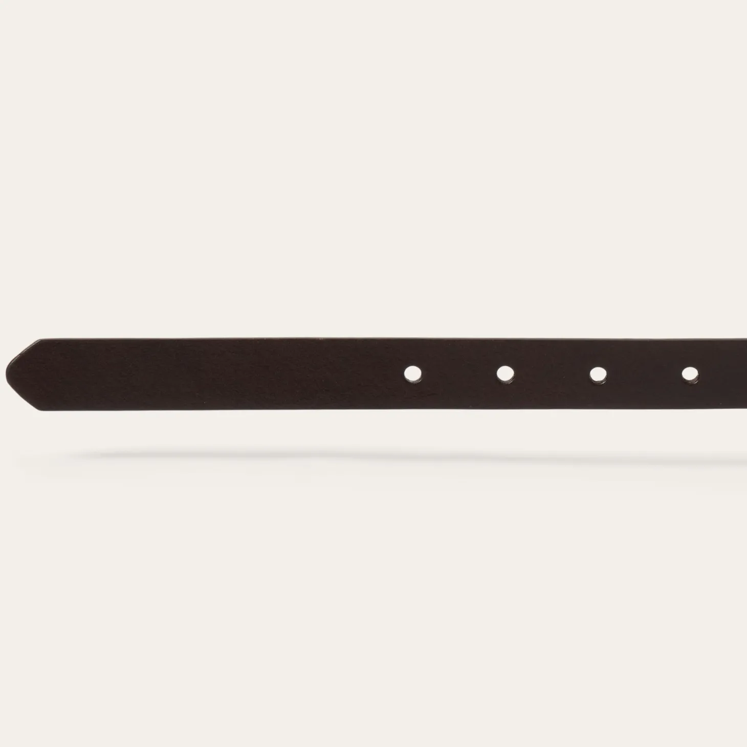 Southwestern Concho Belt