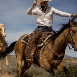 White Oxford Western Shirt